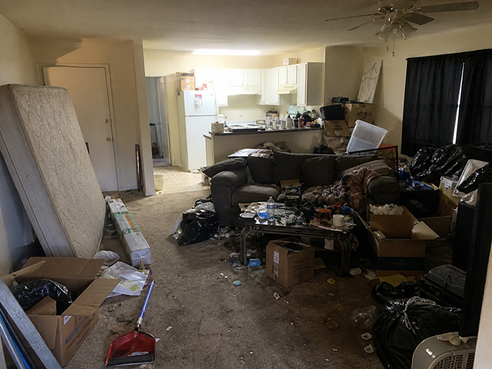 Before yard debris removal
